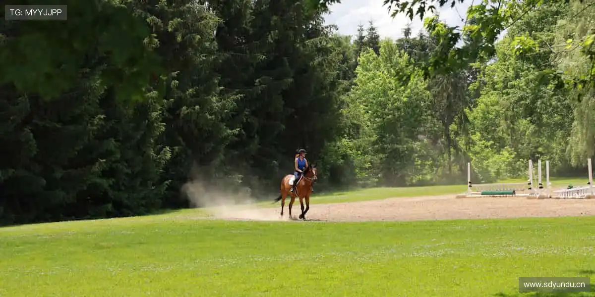 🚀速度与力量的碰撞,直播见证奇迹诞生!📡