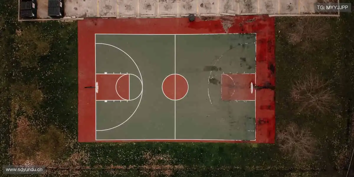 指尖轻点,赛事同步!📱