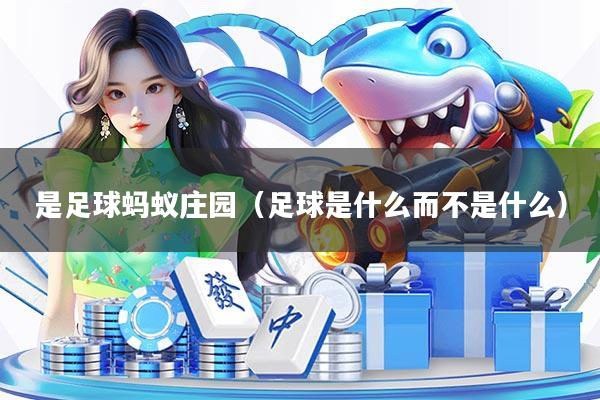 是足球蚂蚁庄园（足球是什么而不是什么）
