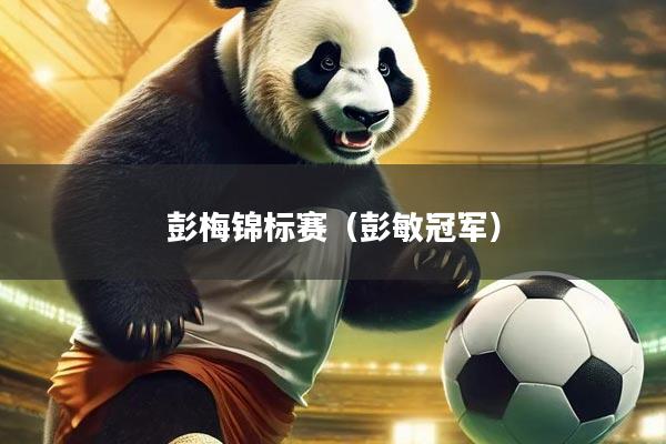 彭梅锦标赛(彭敏冠军)