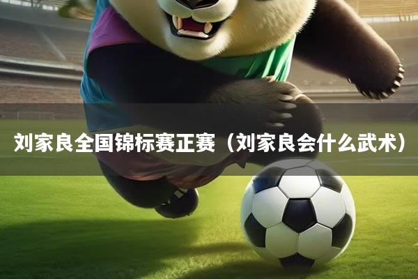 刘家良全国锦标赛正赛(刘家良会什么武术)